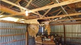 50 Year Old Barn Restoration in 5 Min...