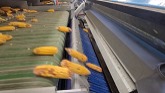 How to set ear corn color sorters fo...