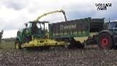 Corn silage @ Vehof dairy