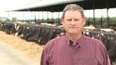 Conservation Tillage Dairy Silage Cropping Systems