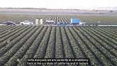 Farm Workers Grow And Pick Billions ...