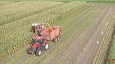 STEYR 8320 Forage Harvesting Corn