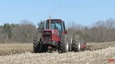 INTERNATIONAL 6588 Tractor Chisel Plowing