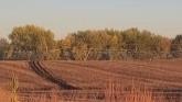 Planting Cover Crops and closing pivot tracks behind soybean harvest this fall.