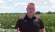 Video: Tips For Selecting The Right Corn Silage Hybrid.