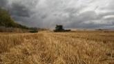 Harvest 2023: Bumper Crop. Alberta Canada.