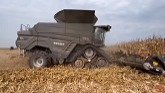 FENDT IDEAL 9T Combine Harvesting Corn