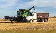 Video: Stauffer Grain Wheat Harvest 2016 - Alberta