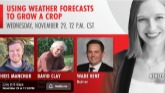 Using Weather Forecasts to Grow a Crop
