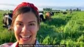 How are Cows Grass-fed in Winter? | ...