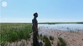 Wetland Monitoring Project VR Experience