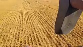 Harvest 2023 Is Ended With Wheat And ...