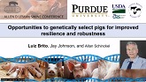 Opportunities to genetically select pigs for improved resilience and robustness