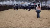 DKF And Deep Lake Livestock Does It Again At The Nile And Canadian Western Agribition!!