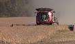 Video: Case IH 9240 Axial-Flow Combine Harvesting Soybeans