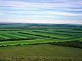 Video:  Canadian Harvest Covered In I...