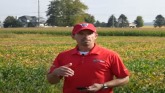 WM23- Tar Spot and White Mold Disease Forecast Apps