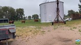 Daily Chores On Nebraska Cattle Ranch