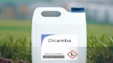 What is the Future of Dicamba?