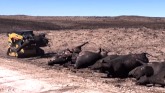 Texas Farmers Reset After Fires as Drought Continues in Farm Country