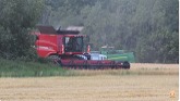 Harvest 2023 | Case IH Axial Flow 8230 combine harvesting barley
