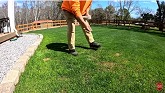 Seeding Spring Lawns How and When to Seed