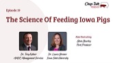 ChopTalk Episode 19: The science of feeding Iowa pigs