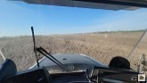 Drilling barley!