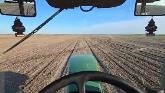 Planting Male corn in the mud!