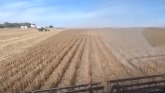 An Important Summer for Soybean Farmers