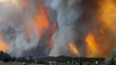 Wildfires Roar in the West