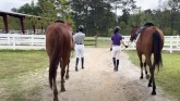 Empowering Women Through Equestrian ...