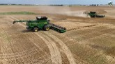 Wheat Harvest 2024 near Burlington O...