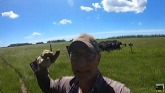 Rotational Grazing for Beef!!!