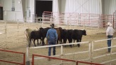 Make Plans to Attend a Regional Stockmanship and Stewardship Event