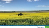 Introducing Miravis® Bold fungicide for canola
