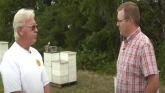 Bee Bum - Honey Bee Farm