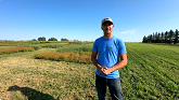 Saving Soils Camelina - 