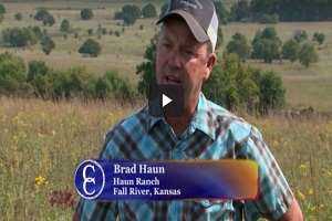 Kansas Ranch Battles BRD With ZACTRAN 
