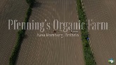 Pfenning’s Organic Vegetables - Depth of Field | Profondeur de champ