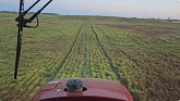 North Lentil Pre-harvest