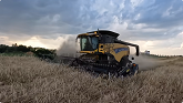 The Start of Harvesting Grain!