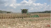 FIRST DAY OF CORN HARVEST 2024 with 16 row JOHN DEERE Combines