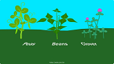 Soil Science: The Nitrogen Cycle, Ni...