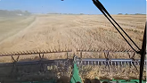 On to the Durum!