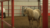 Is Eastern Equine Encephalitis on th...