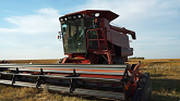 Canola Harvesting on Saskatchewan Fa...