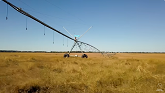 Everything About Irrigation Pivots (...