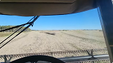 Wrapping up the canola and moving ont...