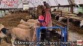 How Morning Chores Are Done On Our S...